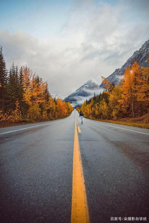 目前拍照效果最好的手机是图3