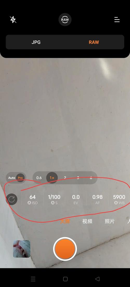 照片大小如何调?