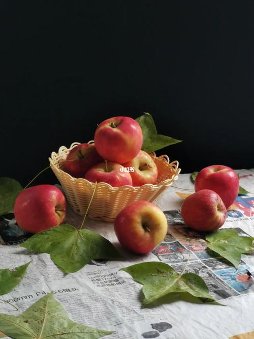 苹果手机什么款拍照效果好图1