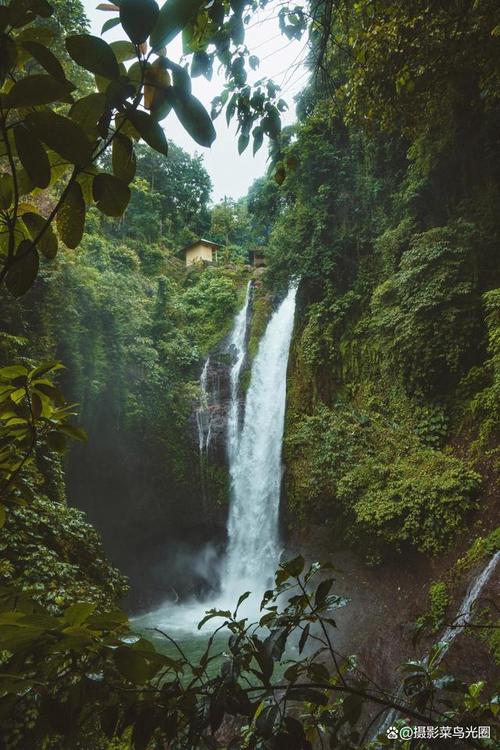 我想把以前的彩色照片用数码相机翻拍.但总是有光线的问题出现,请问怎样...