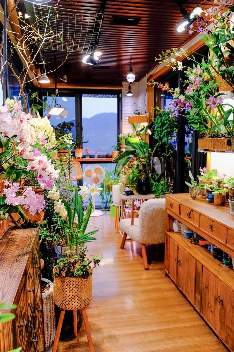 家庭室内养花补光和遮光方法