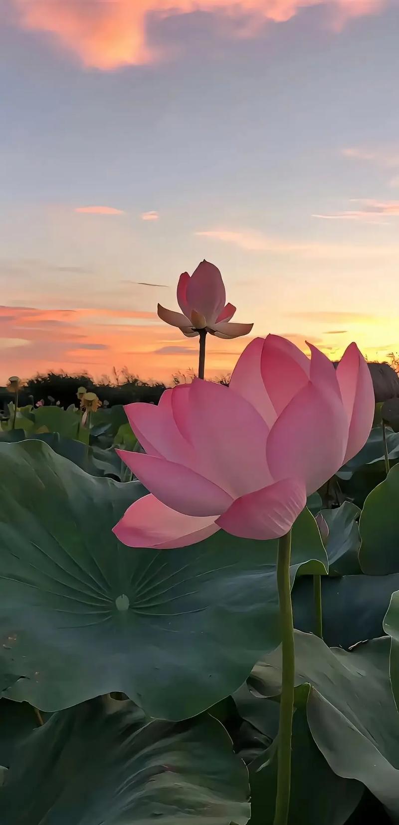 怎样找角度拍照图3