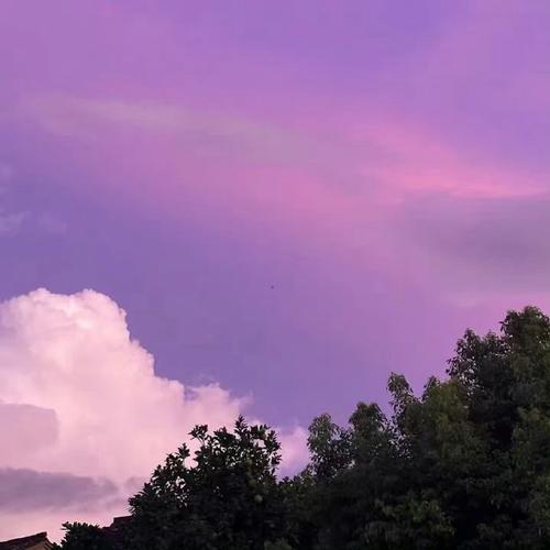 求紫色背景的图片