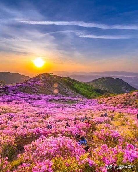 什么手机的像素最好拍照最好看