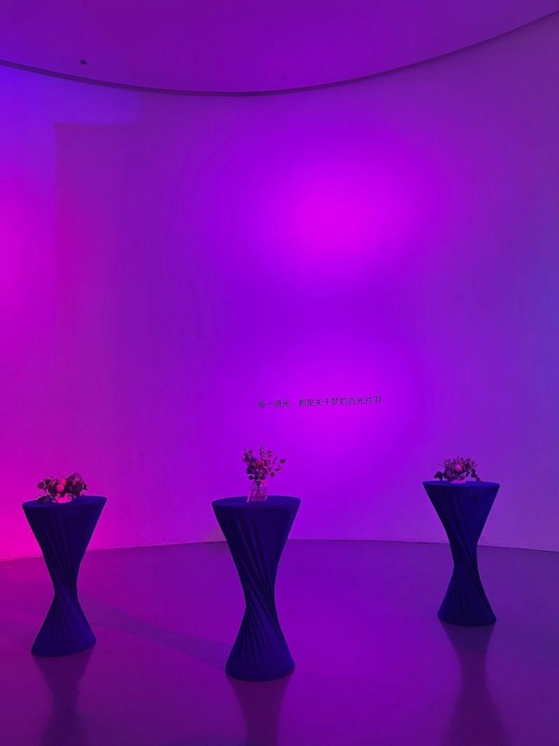 拍照紫色灯光的特效图2