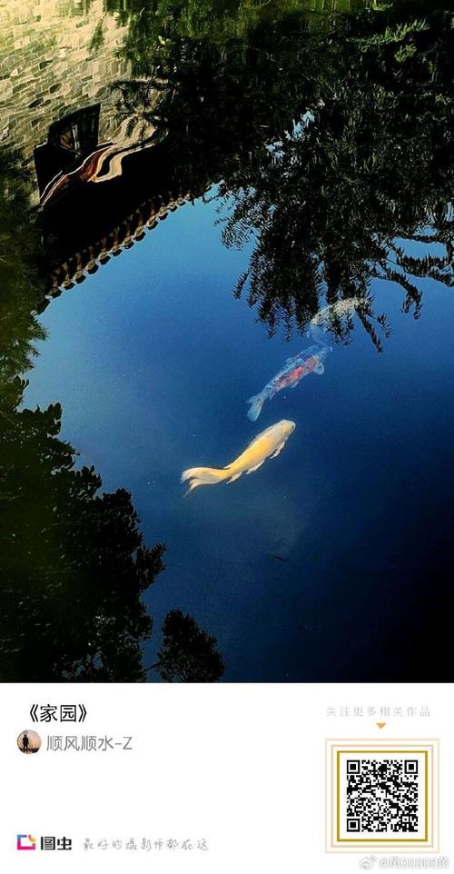 拍照手机哪个好推荐图3