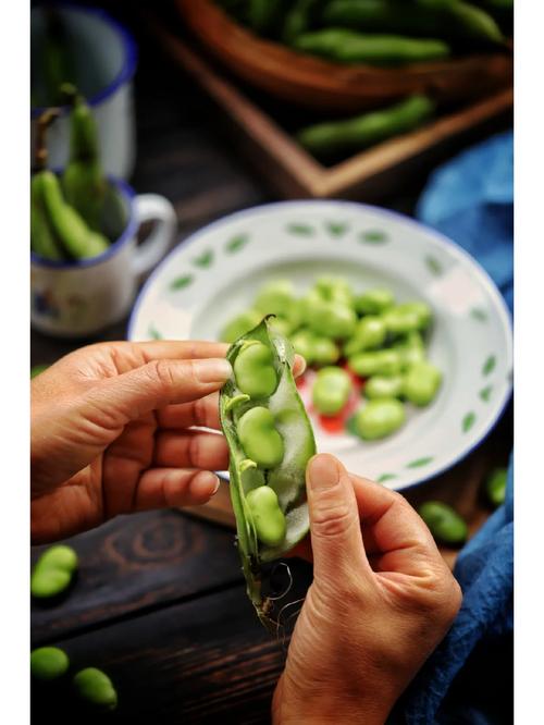 如何区分蚕豆生死?