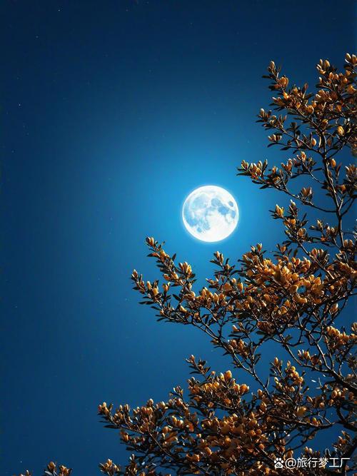 干净的背景图片天空图3