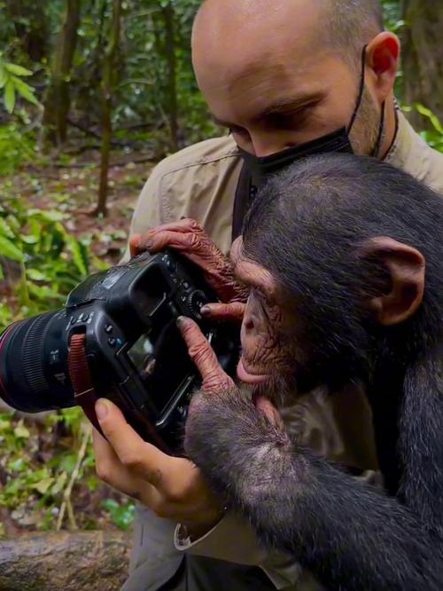 如何翻拍照片不反光图3