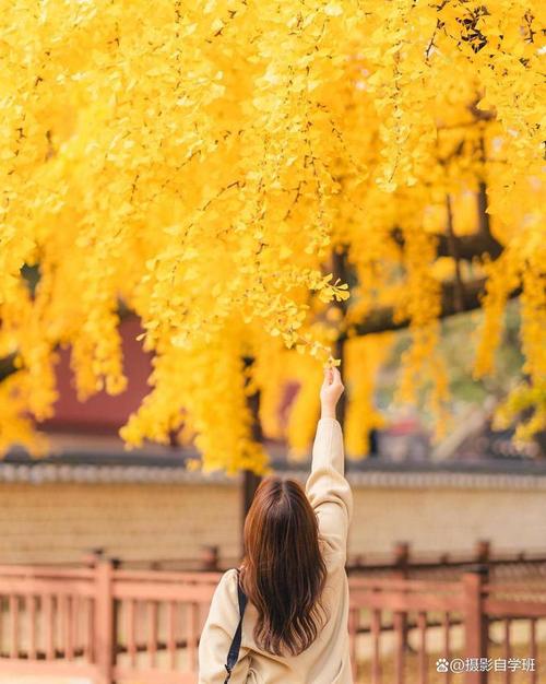 手机拍人的技巧和角度图2