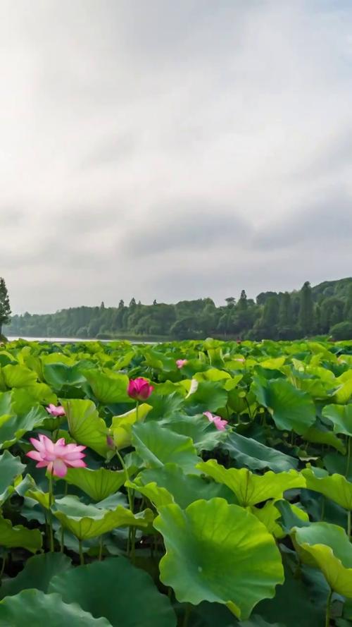 如何将照片做成视频的软件图2