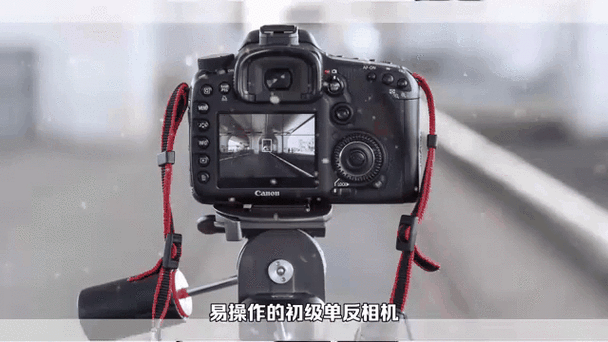 立体智能认知相机哪家比较靠谱?