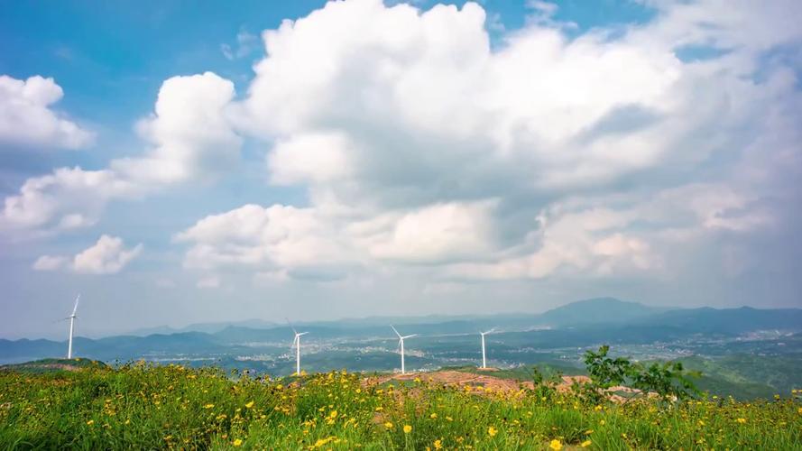 用手机拍摄花朵的技巧图1