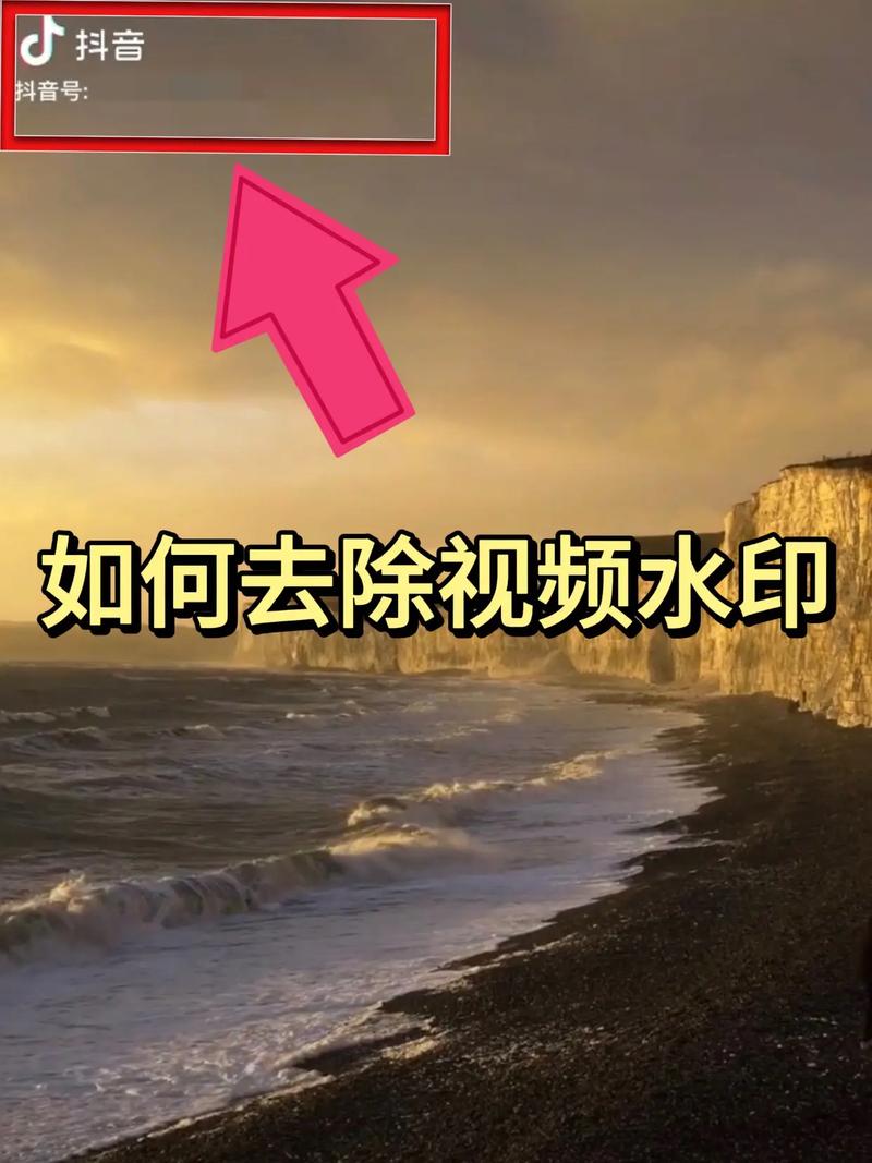 一键去水印免费网址图3