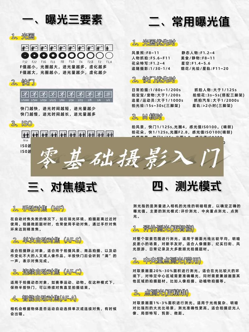 手机摄影入门教程从零开始学摄影图3