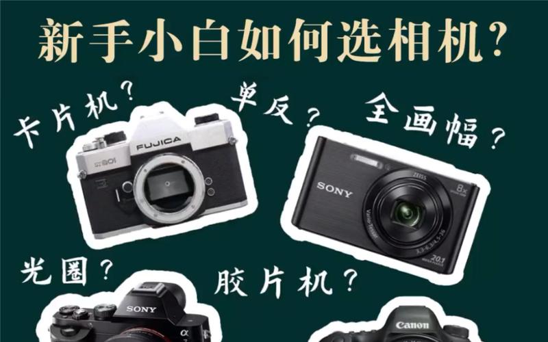 新手小白拍照用什么相机图1