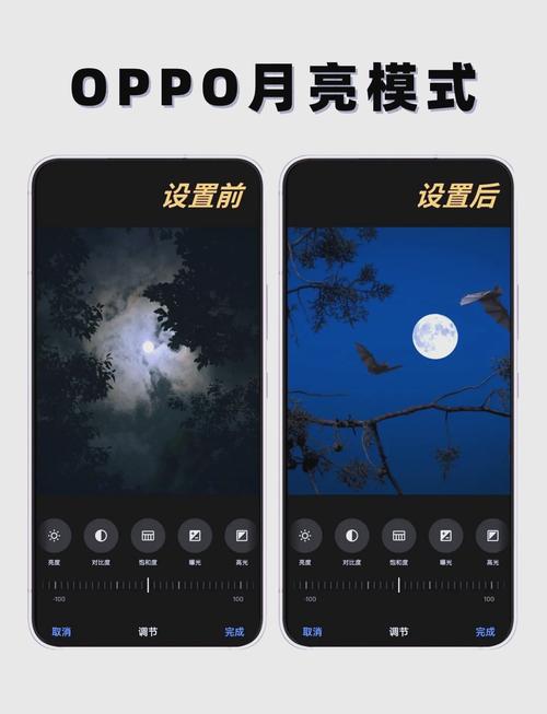 oppo手机照相机是黑白色咋办图3