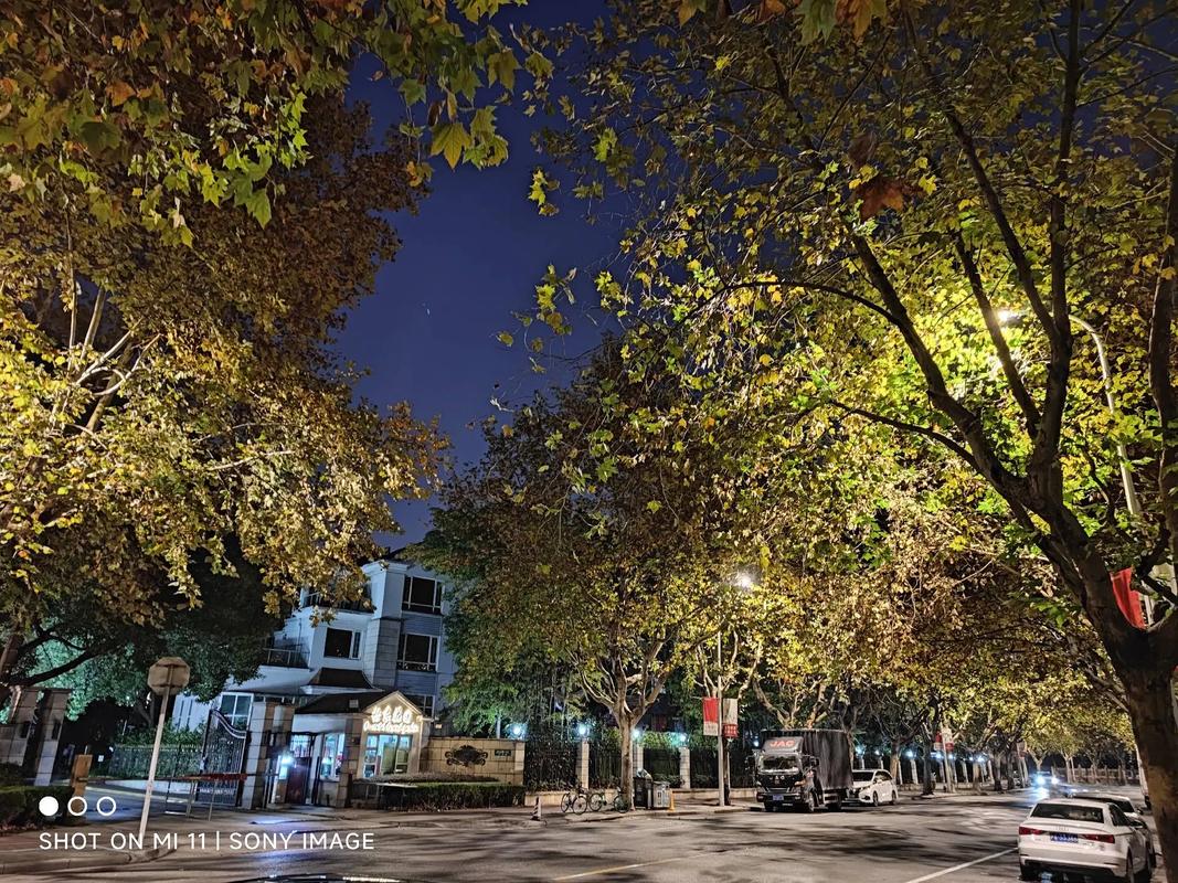 iphone拍照有光斑图1