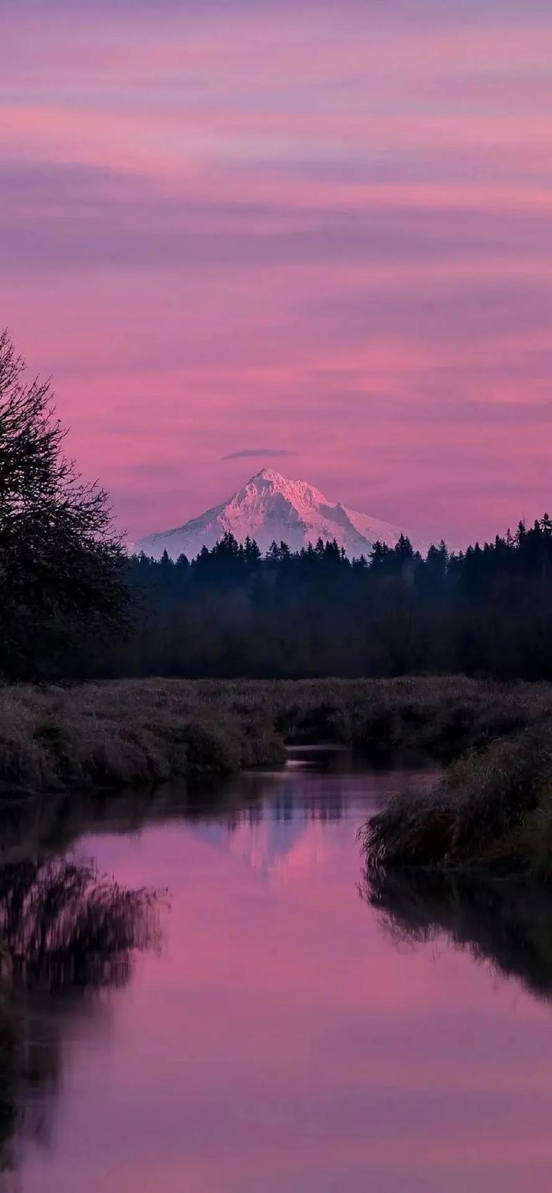 小众高级感背景图