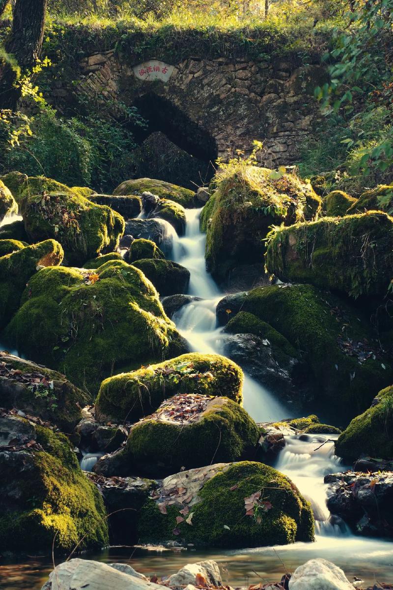 手机拍照角度和技巧图3