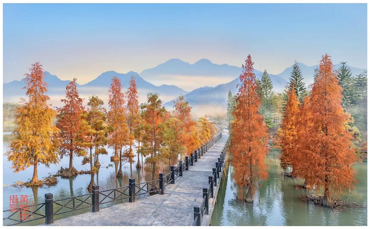 风光摄影的技巧是什么图2