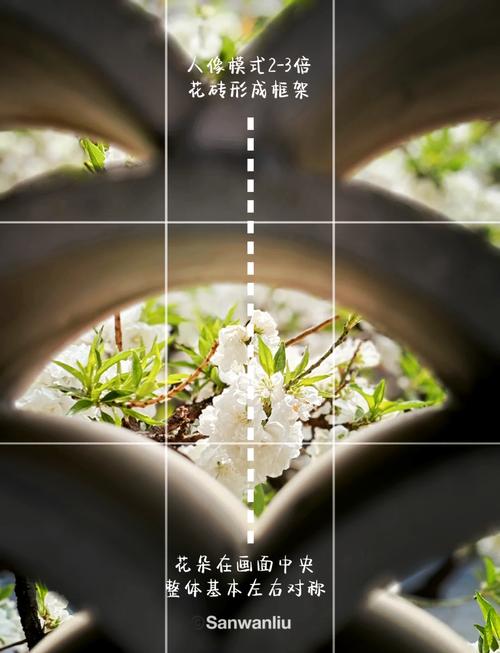 手机拍照构图基础教程图2