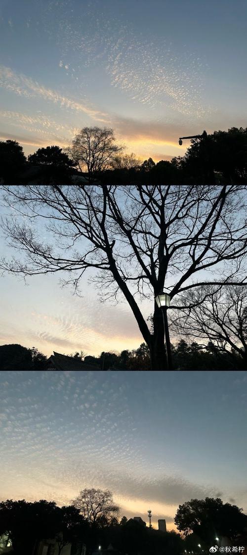 3000元手机拍照最好图1