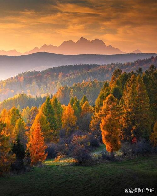 拍照打光图片纯色全屏显示不出来图1