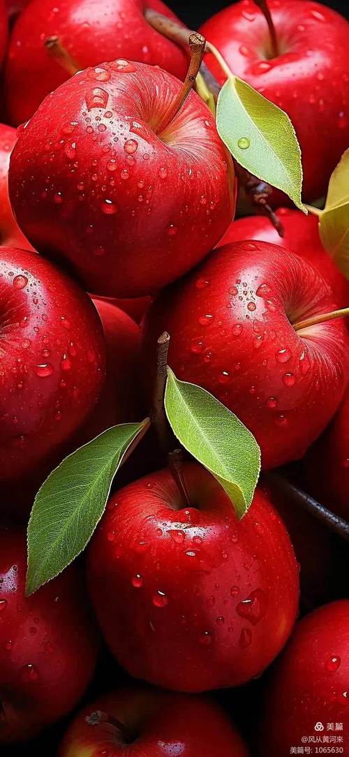 网红都用什么软件拍照含维生素的蔬菜水果是那些图2