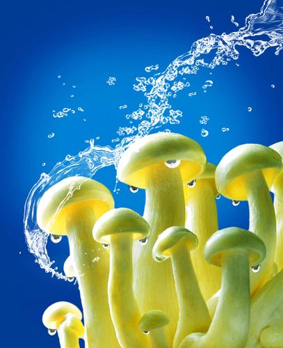 哪些蔬菜对身体好?