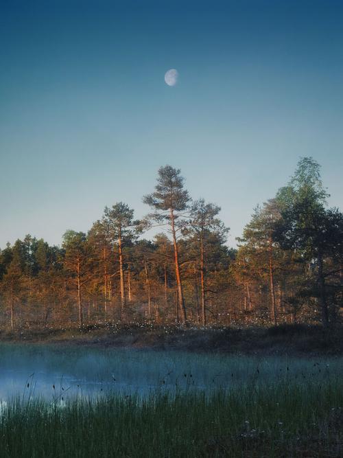 现在拍照功能最强大的手机图1