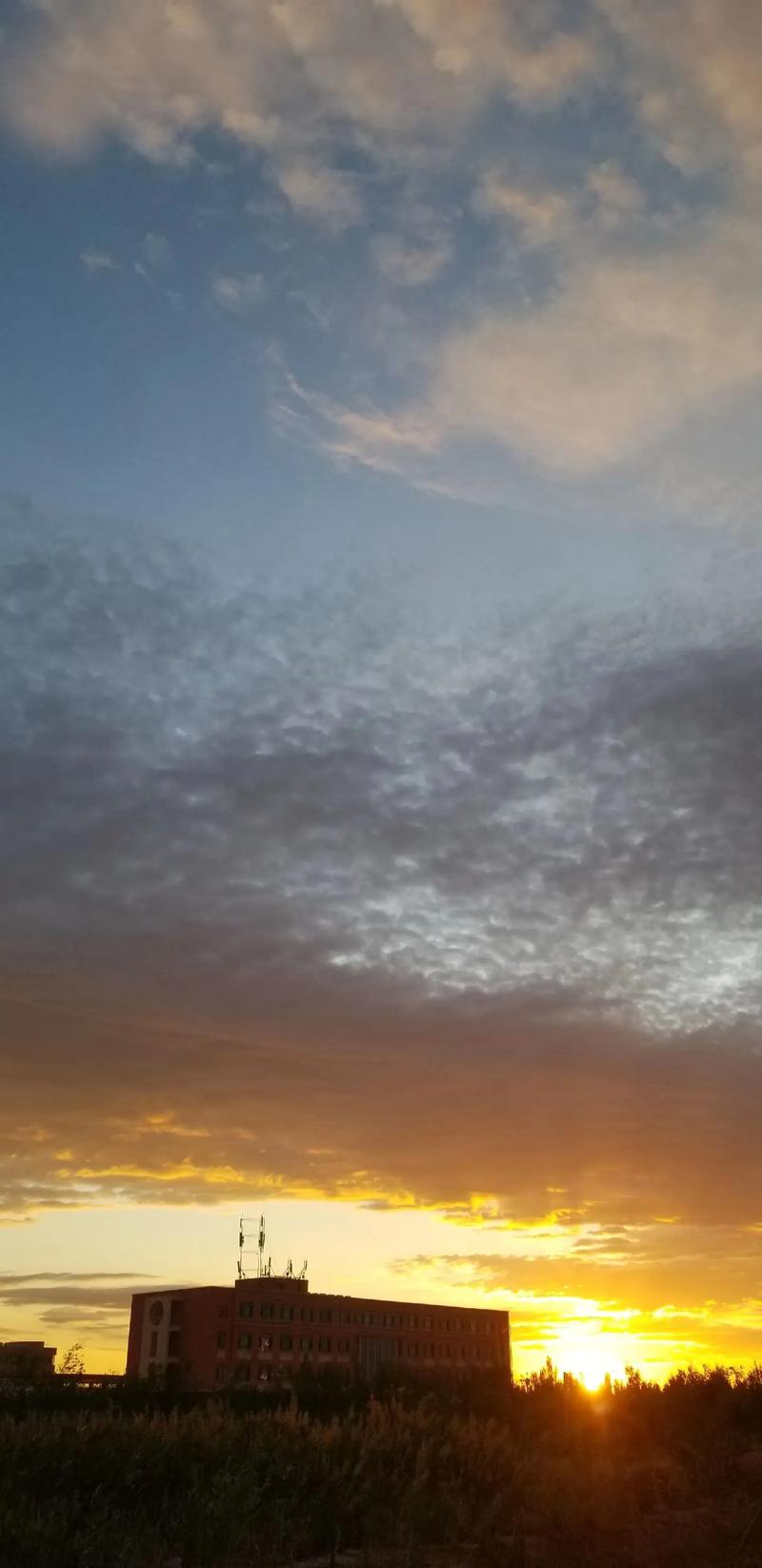 手机拍风景照的技巧