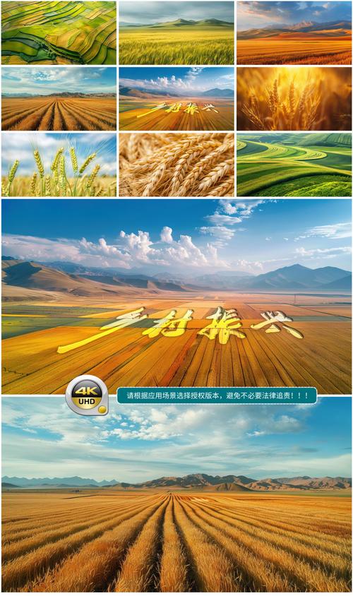 新年图片背景图高清无水印图2