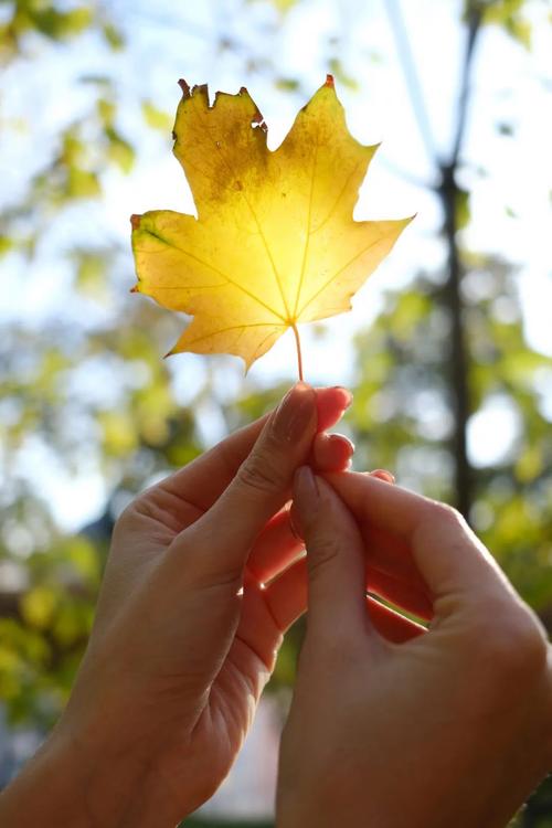 背光拍照怎么才能亮一点图2