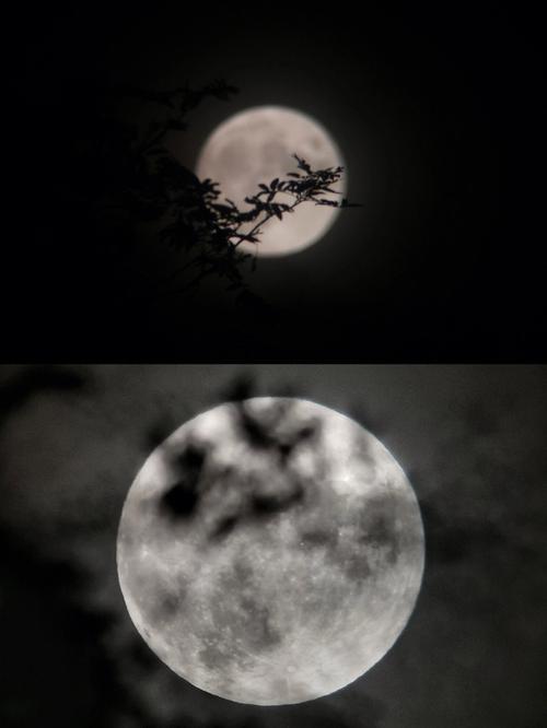 手机摄影技巧视频教学图1