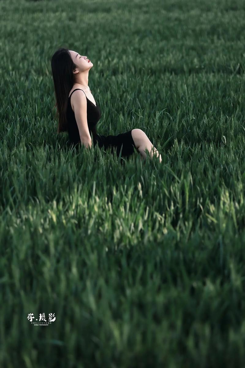 图片合成视频软件图3