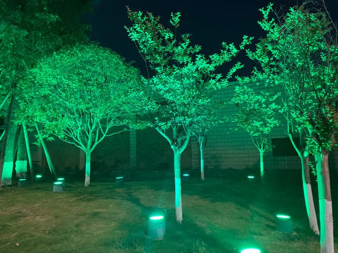 ps灯光效果图教程:如何给树木素材打灯光?