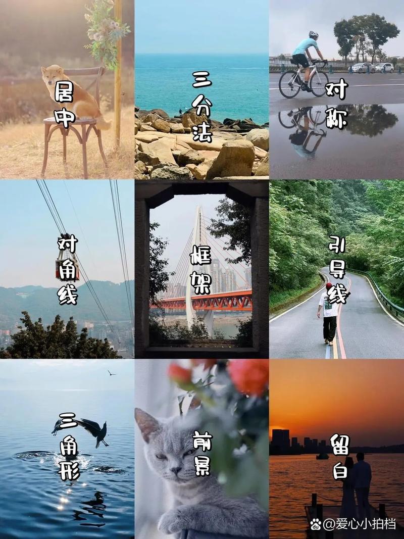 手机摄影十大技巧图片图1