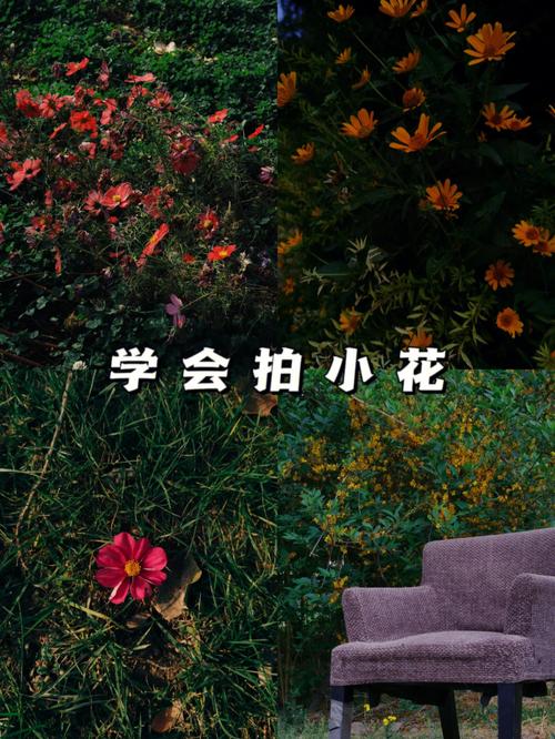 手机拍照技巧和方法图3