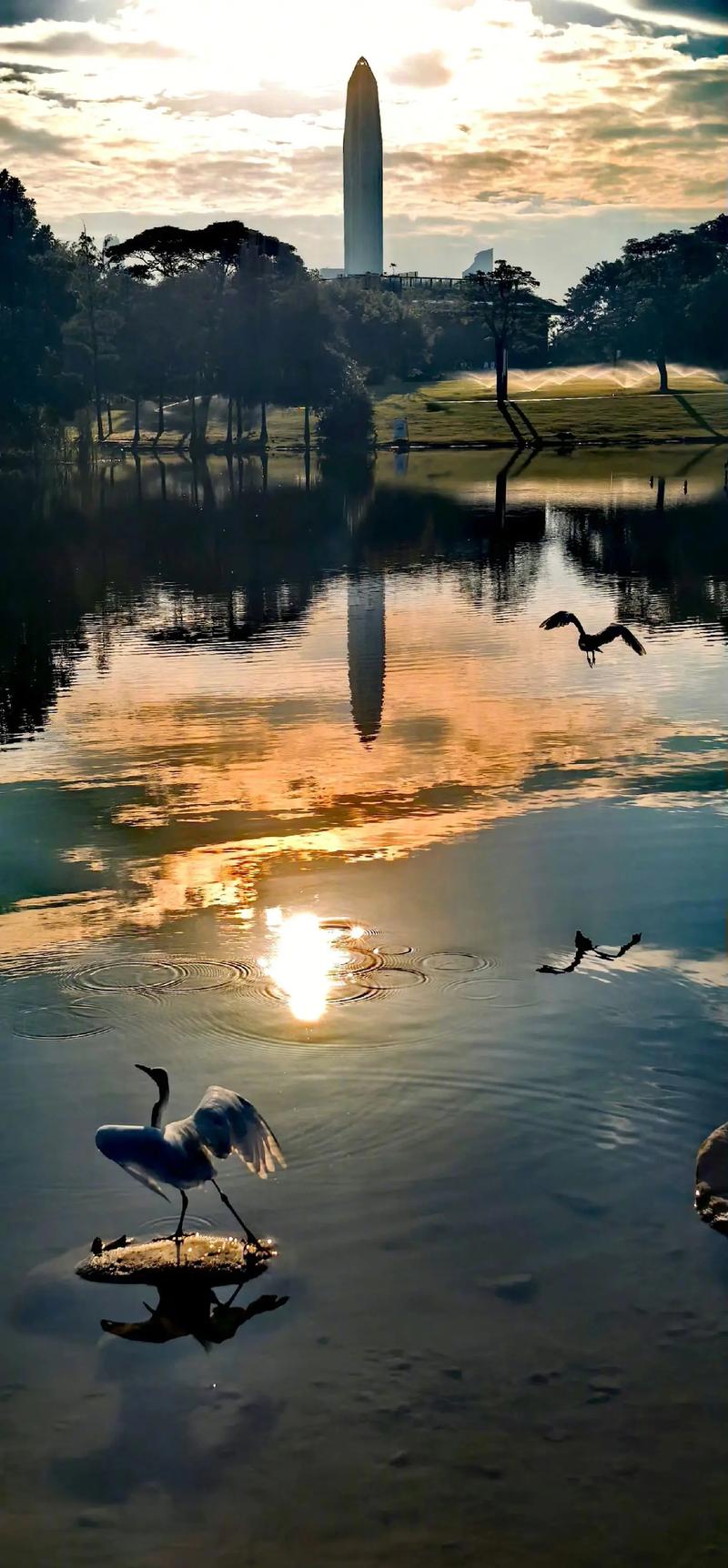 华为手机mate60图片图2