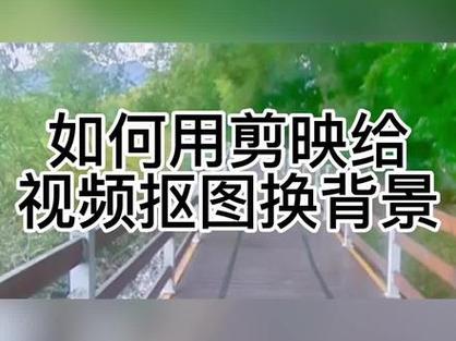 视频抠图换背景免费版图1