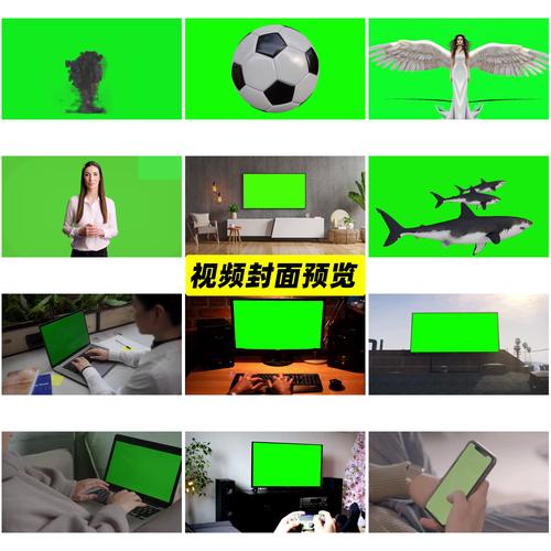 视频抠图换背景免费版图3