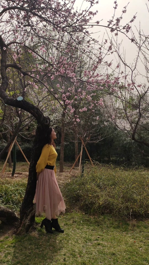 在树下拍照摆什么姿势最好看图1