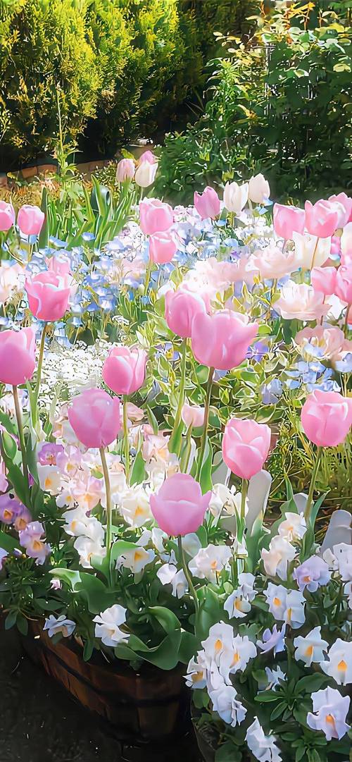 背景图高清无水印图2