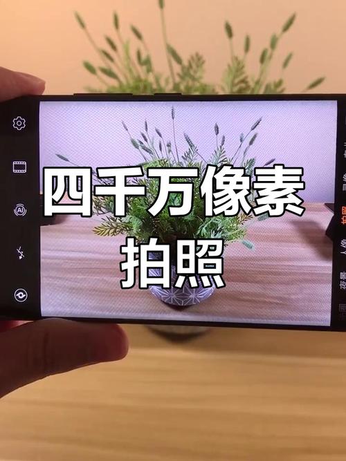 怎么提高手机拍照画质图2