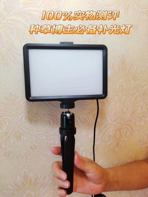 补光用什么类型的灯好图2