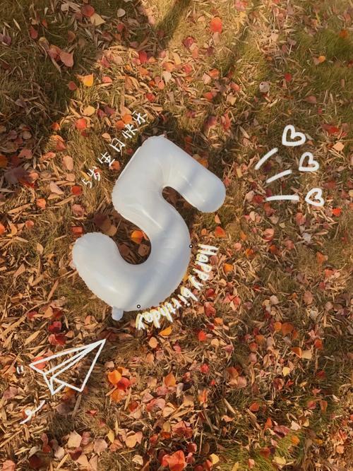 拍照数字数在线使用