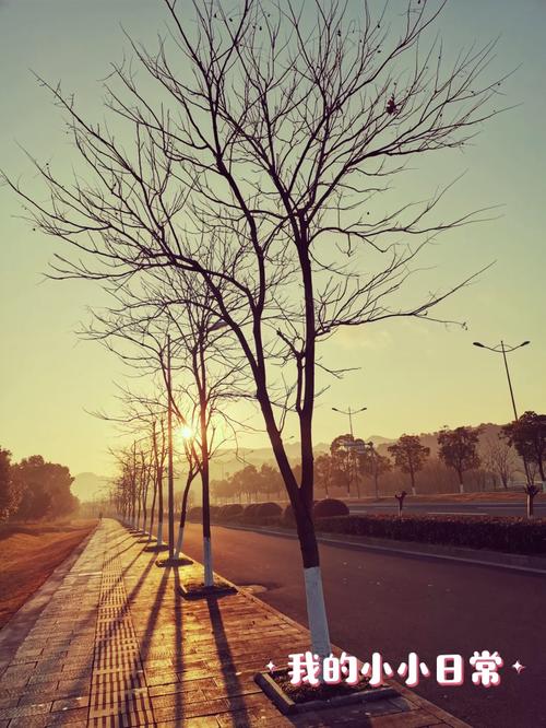 显示时间地点的相机是怎么弄的图2