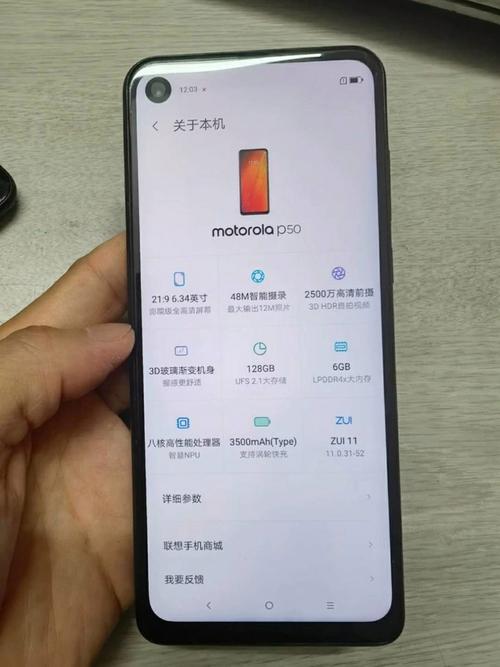 摩托罗拉P50-详细介绍