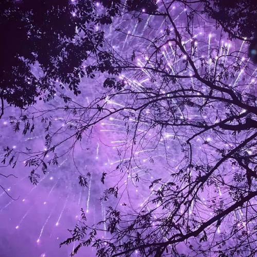 紫色拍照背景图片高清图2